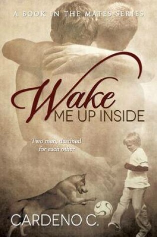 Cover of Wake Me Up Inside