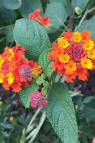 Cover of Lantana Camara Flowers (for the Love of Gardening)