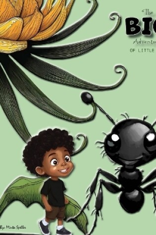 Cover of The Big Adventures of Little Ryan