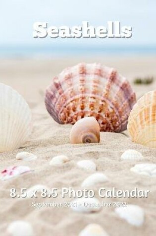 Cover of Seashells 8.5 X 8.5 Calendar September 2021 -December 2022