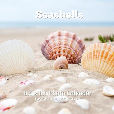 Book cover for Seashells 8.5 X 8.5 Calendar September 2021 -December 2022