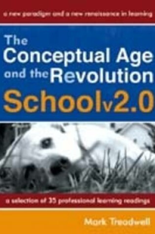 Cover of The Conceptual Age and the Revolution