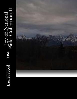 Book cover for Joy of National Parks Collection II