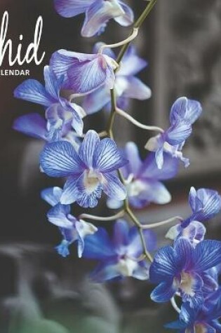 Cover of Orchids