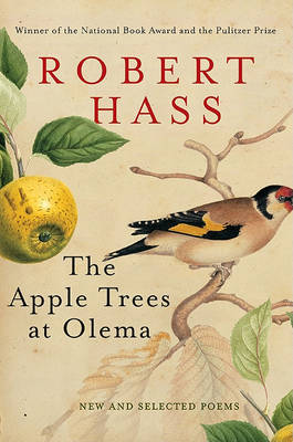 Book cover for The Apple Trees at Olema