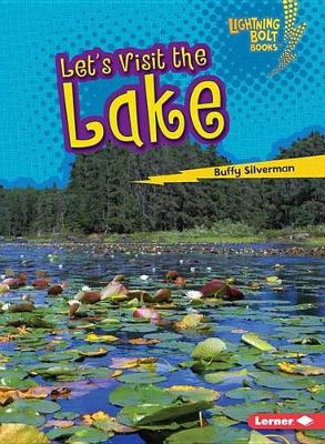 Book cover for Lets Visit the Lake