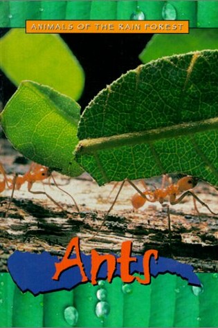 Cover of Ants