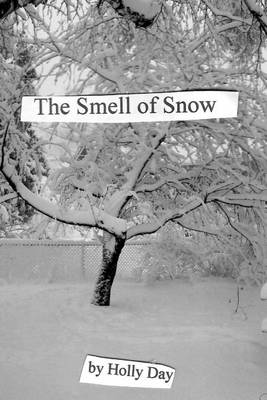 Book cover for The Smell of Snow