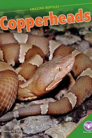 Cover of Copperheads