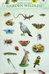 Book cover for Garden Wildlife