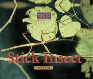 Book cover for Stick Insect