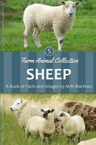 Cover of Sheep