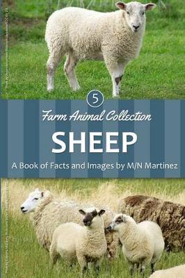 Cover of Sheep