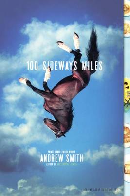 Book cover for 100 Sideways Miles