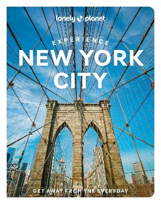 Book cover for Experience New York City