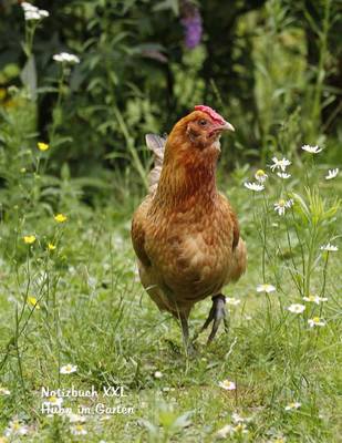 Book cover for Notizbuch XXL Huhn im Garten