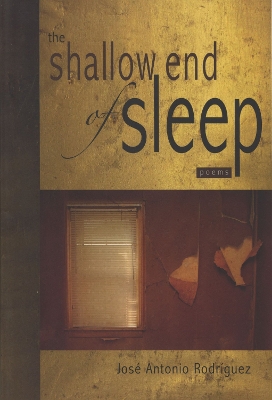 Book cover for The Shallow End of Sleep