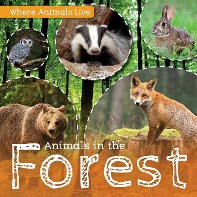 Book cover for Animals in the Forest