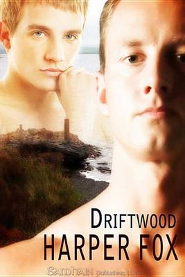 Book cover for Driftwood