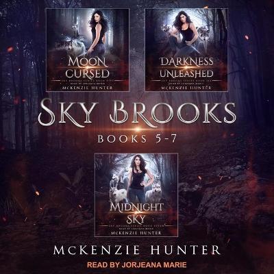 Cover of Sky Brooks