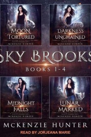 Cover of Sky Brooks