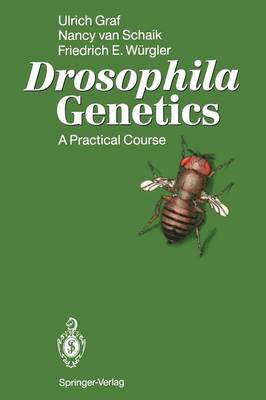 Book cover for Drosophila Genetics