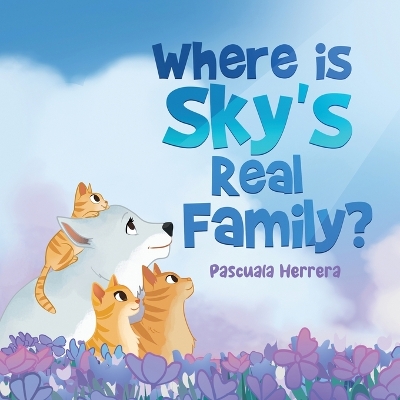 Book cover for Where Is Sky's Real Family?