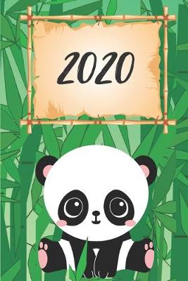 Book cover for 2020 Panda Termin-Kalender DIN A5