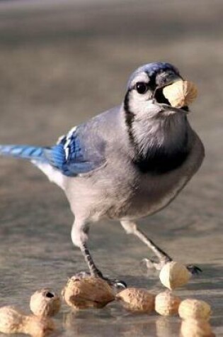 Cover of Score! Bluebird Eating a Peanut Journal