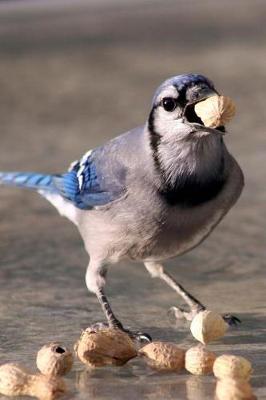 Book cover for Score! Bluebird Eating a Peanut Journal