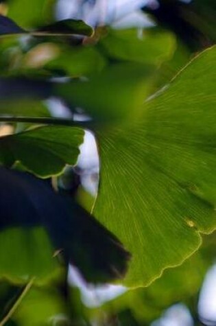 Cover of Leaves From a Japanese Ginkgo Biloba Tree Journal