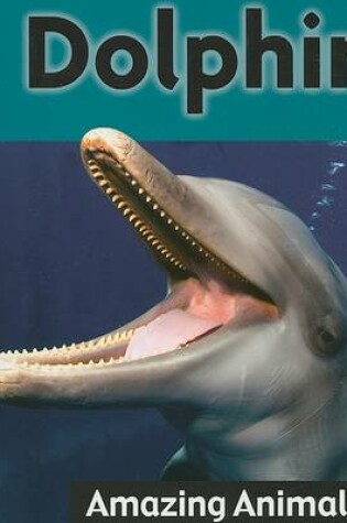 Cover of Dolphins