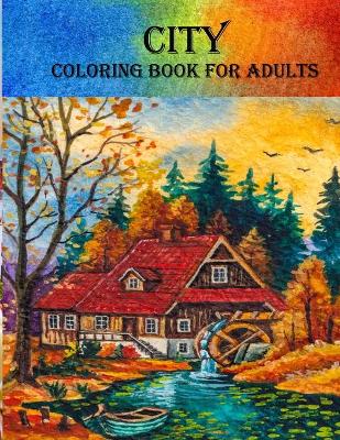 Book cover for City Coloring Book For Adults