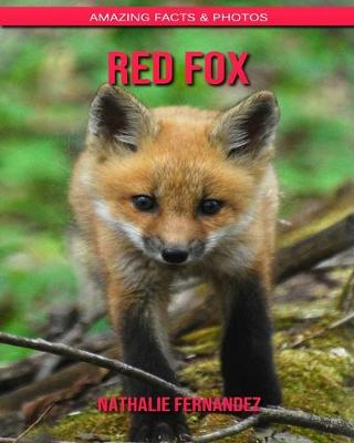 Book cover for Red Fox