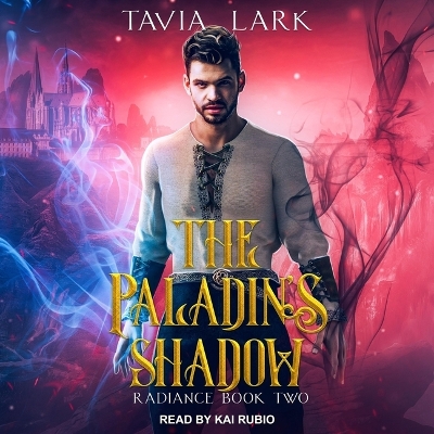 Book cover for The Paladin's Shadow
