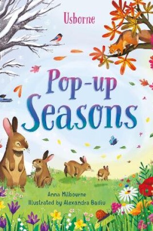 Cover of Pop-Up Seasons