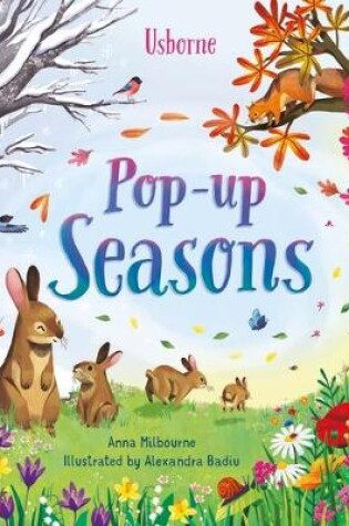 Cover of Pop-Up Seasons