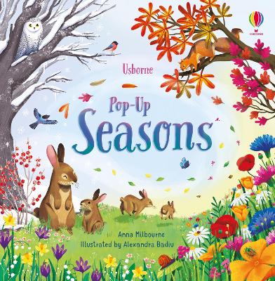 Book cover for Pop-Up Seasons