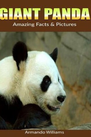 Cover of Giant Panda