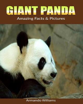 Book cover for Giant Panda