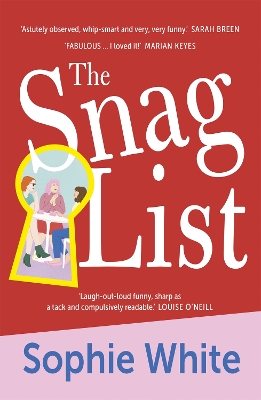 Book cover for The Snag List