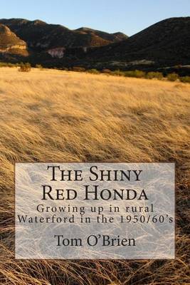 Book cover for The Shiny Red Honda