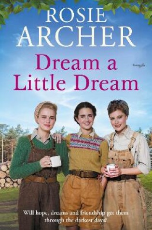 Cover of Dream a Little Dream