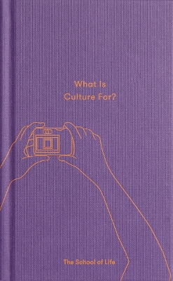 Book cover for What Is Culture For?