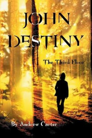 Cover of John Destiny