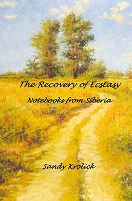 Book cover for The Recovery of Ecstasy