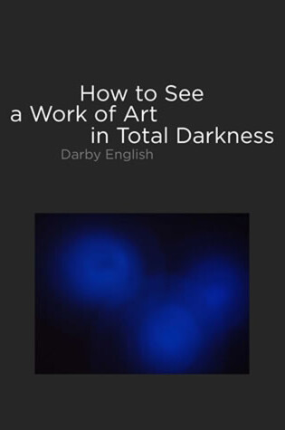 Cover of How to See a Work of Art in Total Darkness