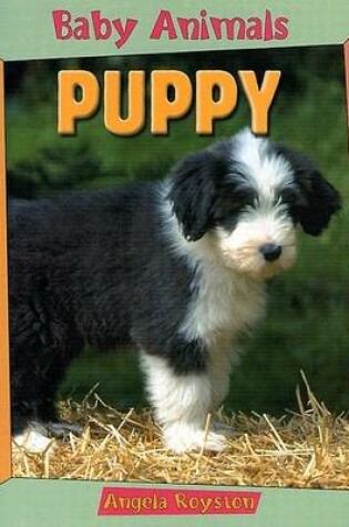 Cover of Puppy