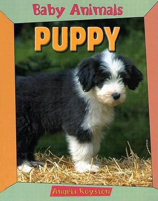 Cover of Puppy