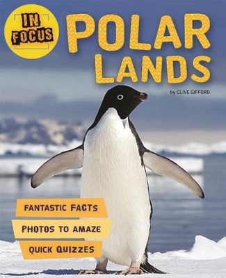 Book cover for In Focus: Polar Lands